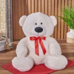 Luxury Gift Box in Pakistan with Plush Teddy Bear